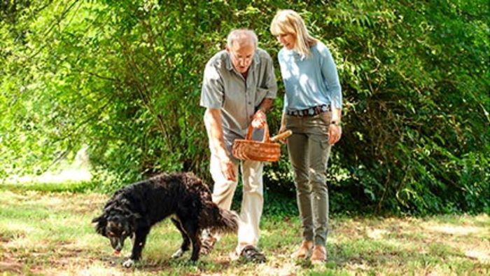 Shore excursions and activities